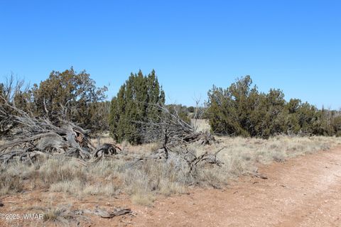 Tiny photo for 1924 Hutch Road, Heber, AZ 85928 (MLS # 254101)