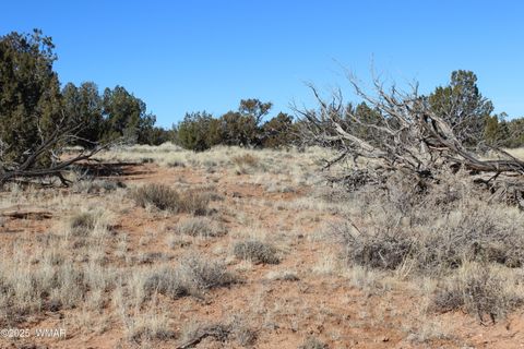 Tiny photo for 1924 Hutch Road, Heber, AZ 85928 (MLS # 254101)