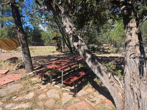 Tiny photo for 2145 Fishermans Road, Overgaard, AZ 85933 (MLS # 257198)