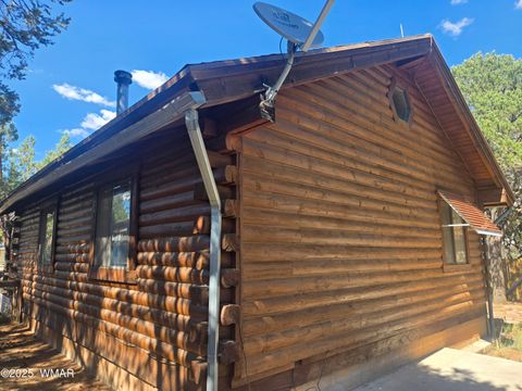 Tiny photo for 2145 Fishermans Road, Overgaard, AZ 85933 (MLS # 257198)