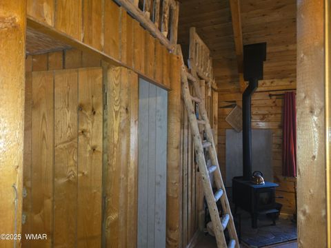 Tiny photo for 2145 Fishermans Road, Overgaard, AZ 85933 (MLS # 257198)