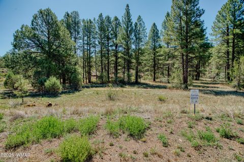 Tiny photo for 4668 West Tatanka Loop, Show Low, AZ 85901 (MLS # 257389)