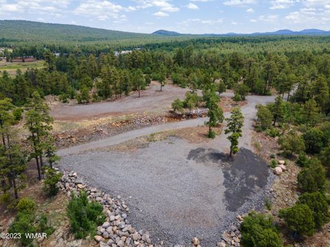 Tiny photo for TBD JACKS LANE (PARCEL #3), Pinetop, AZ 85935 (MLS # 256019)
