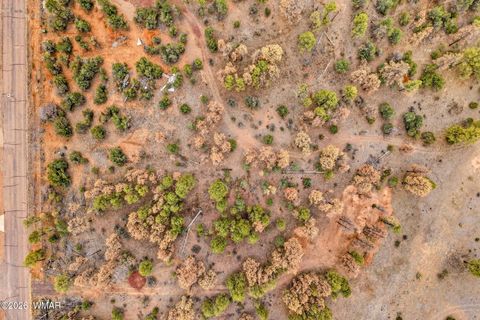 Tiny photo for 2230 Country Club Drive, Overgaard, AZ 85933 (MLS # 259286)