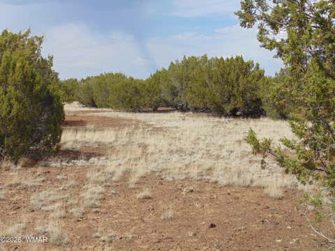 Tiny photo for 34 N3124, Vernon, AZ 85940 (MLS # 261811)
