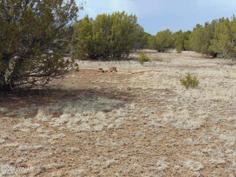 Tiny photo for 34 N3124, Vernon, AZ 85940 (MLS # 261811)