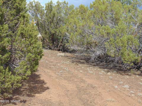 Tiny photo for 34 N3124, Vernon, AZ 85940 (MLS # 261811)