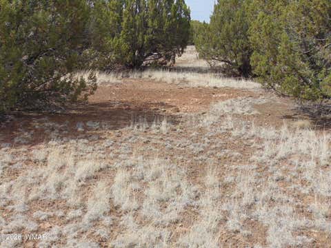Tiny photo for 34 N3124, Vernon, AZ 85940 (MLS # 261811)