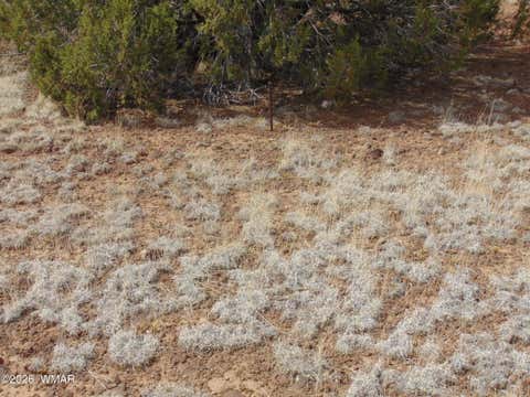 Tiny photo for 34 N3124, Vernon, AZ 85940 (MLS # 261811)