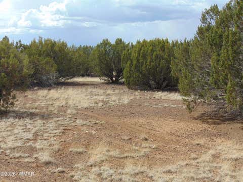 Tiny photo for 34 N3124, Vernon, AZ 85940 (MLS # 261811)