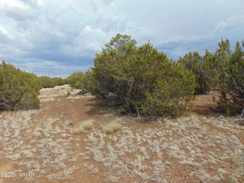 Tiny photo for 34 N3124, Vernon, AZ 85940 (MLS # 261811)