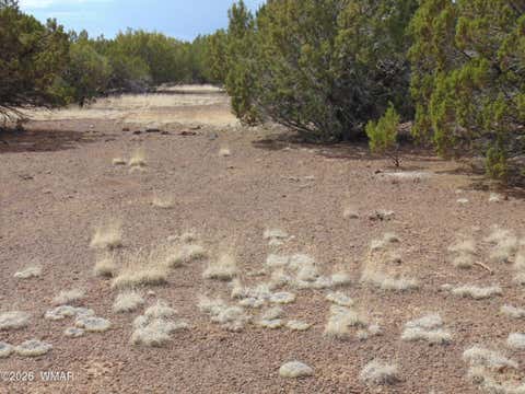 Tiny photo for 34 N3124, Vernon, AZ 85940 (MLS # 261811)