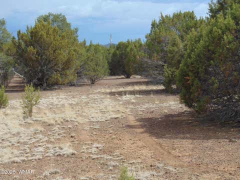 Tiny photo for 34 N3124, Vernon, AZ 85940 (MLS # 261811)