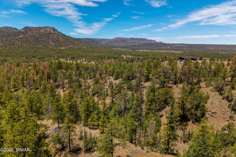 Tiny photo for 34 CR 2279, Nutrioso, AZ 85932 (MLS # 261881)