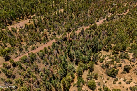 Tiny photo for 34 CR 2279, Nutrioso, AZ 85932 (MLS # 261881)