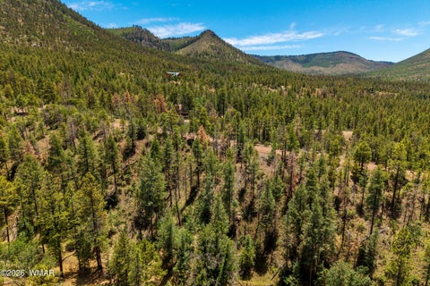 Tiny photo for 34 CR 2279, Nutrioso, AZ 85932 (MLS # 261881)