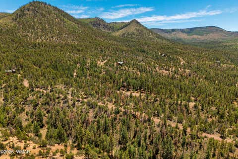 Tiny photo for 34 CR 2279, Nutrioso, AZ 85932 (MLS # 261881)