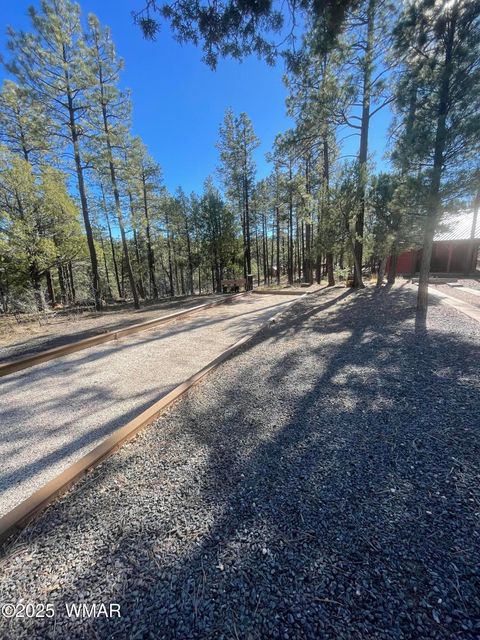 Tiny photo for 2321 E Quarter Horse Way, Show Low, AZ 85901 (MLS # 258897)