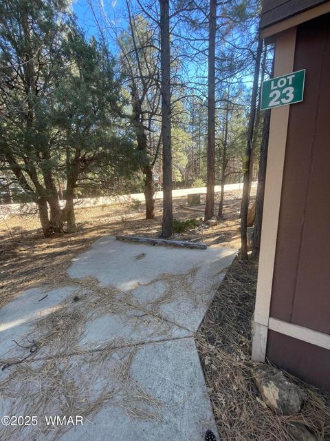 Tiny photo for 2321 E Quarter Horse Way, Show Low, AZ 85901 (MLS # 258897)