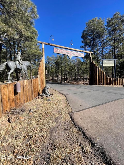 Tiny photo for 2321 E Quarter Horse Way, Show Low, AZ 85901 (MLS # 258897)