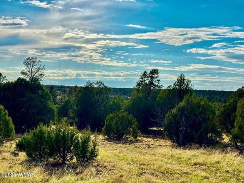 Tiny photo for TBD Flake Lots N & K 2.54 Acres, Aripine, AZ 85933 (MLS # 257180)