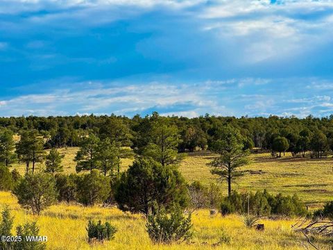 Photo of TBD Flake Lots N & K 2.54 Acres, Aripine, AZ 85933 (MLS # 257180)