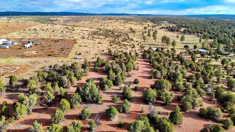 Tiny photo for TBD Flake Lots N & K 2.54 Acres, Aripine, AZ 85933 (MLS # 257180)