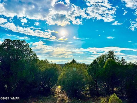 Tiny photo for TBD Flake Lots N & K 2.54 Acres, Aripine, AZ 85933 (MLS # 257180)