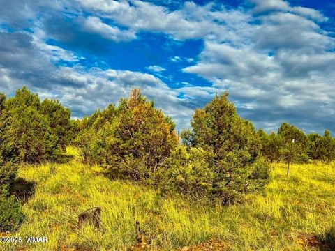 Tiny photo for TBD Flake Lots N & K 2.54 Acres, Aripine, AZ 85933 (MLS # 257180)