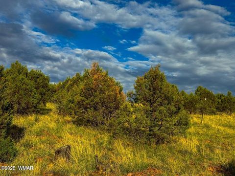 Tiny photo for TBD Flake Lots N & K 2.54 Acres, Aripine, AZ 85933 (MLS # 257180)