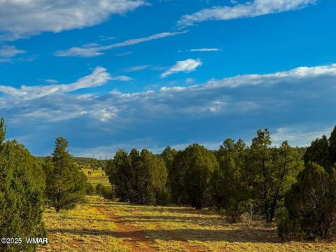Tiny photo for TBD Flake Lots N & K 2.54 Acres, Aripine, AZ 85933 (MLS # 257180)
