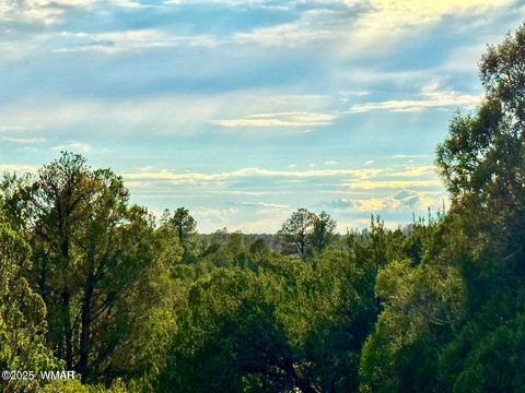 Tiny photo for TBD Flake Lots N & K 2.54 Acres, Aripine, AZ 85933 (MLS # 257180)