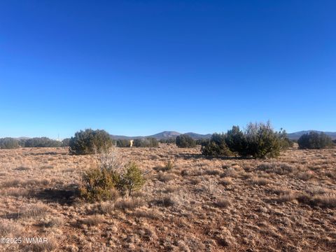 Photo of 14 N3111 #A, Vernon, AZ 85940 (MLS # 258958)