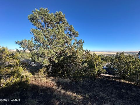 Photo of 1665 W Valley Vista Drive, Eagar, AZ 85925 (MLS # 258091)