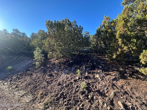 Tiny photo for 1665 W Valley Vista Drive, Eagar, AZ 85925 (MLS # 258091)