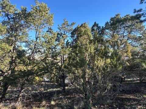 Tiny photo for 1665 W Valley Vista Drive, Eagar, AZ 85925 (MLS # 258091)