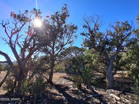 Tiny photo for TBD 201-32-006, Concho, AZ 85924 (MLS # 258956)