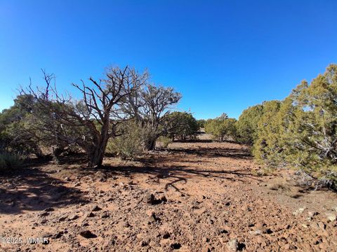 Tiny photo for TBD 201-32-006, Concho, AZ 85924 (MLS # 258956)