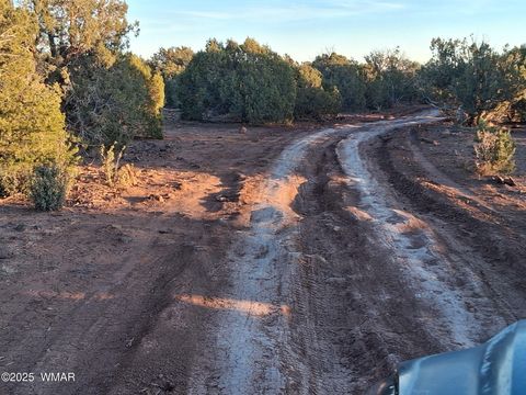 Tiny photo for TBD 201-32-006, Concho, AZ 85924 (MLS # 258956)