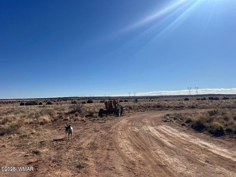 Tiny photo for 001F Privette Ln, Snowflake, AZ 85937 (MLS # 257693)