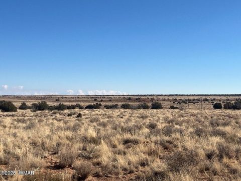 Tiny photo for 001F Privette Ln, Snowflake, AZ 85937 (MLS # 257693)