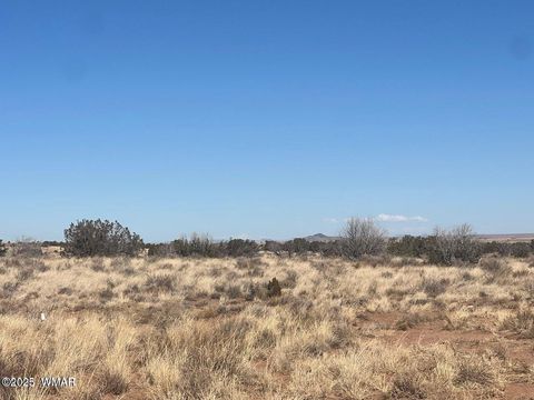 Tiny photo for 001F Privette Ln, Snowflake, AZ 85937 (MLS # 257693)