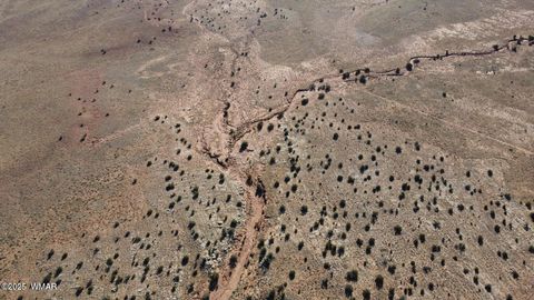 Tiny photo for 001F Privette Ln, Snowflake, AZ 85937 (MLS # 257693)