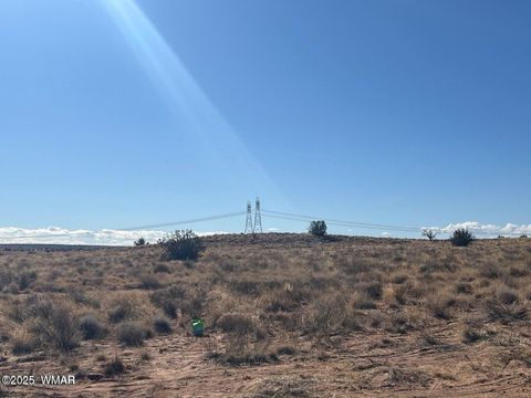 Tiny photo for 001F Privette Ln, Snowflake, AZ 85937 (MLS # 257693)