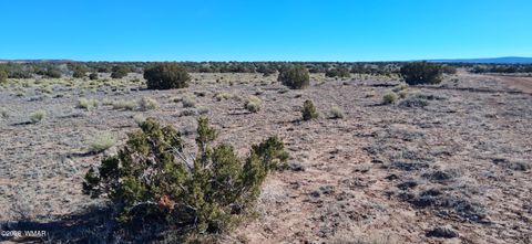 Tiny photo for 24 County Rd N6578, Saint Johns, AZ 85936 (MLS # 259213)