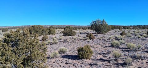 Tiny photo for 24 County Rd N6578, Saint Johns, AZ 85936 (MLS # 259213)