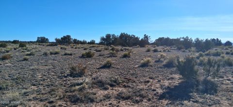 Tiny photo for 24 County Rd N6578, Saint Johns, AZ 85936 (MLS # 259213)