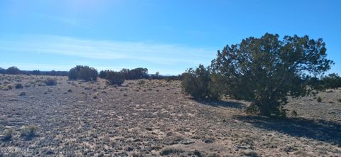 Tiny photo for 24 County Rd N6578, Saint Johns, AZ 85936 (MLS # 259213)