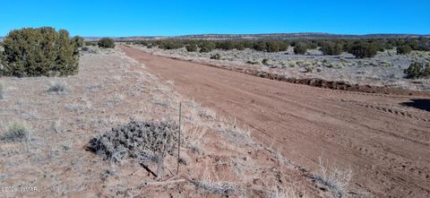 Tiny photo for 24 County Rd N6578, Saint Johns, AZ 85936 (MLS # 259213)