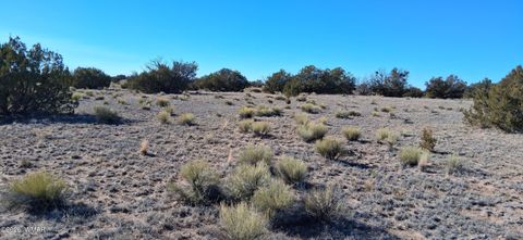 Tiny photo for 24 County Rd N6578, Saint Johns, AZ 85936 (MLS # 259213)
